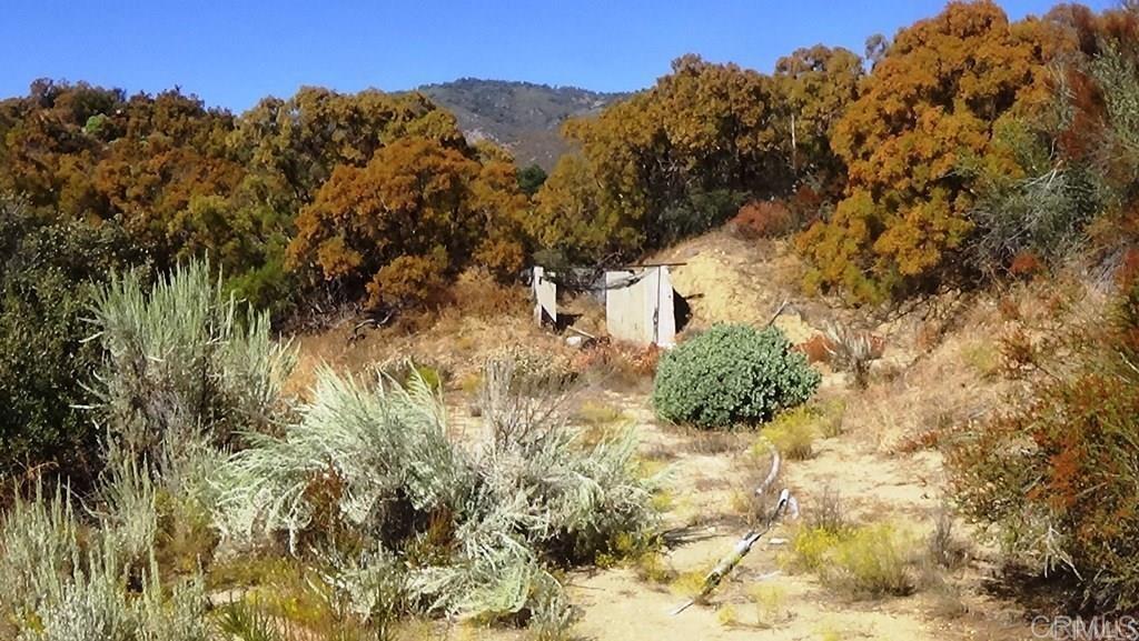 37245 Old Forest Road Property Photo 29