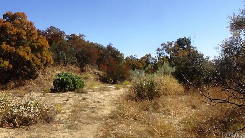 37245 Old Forest Road Property Photo 31