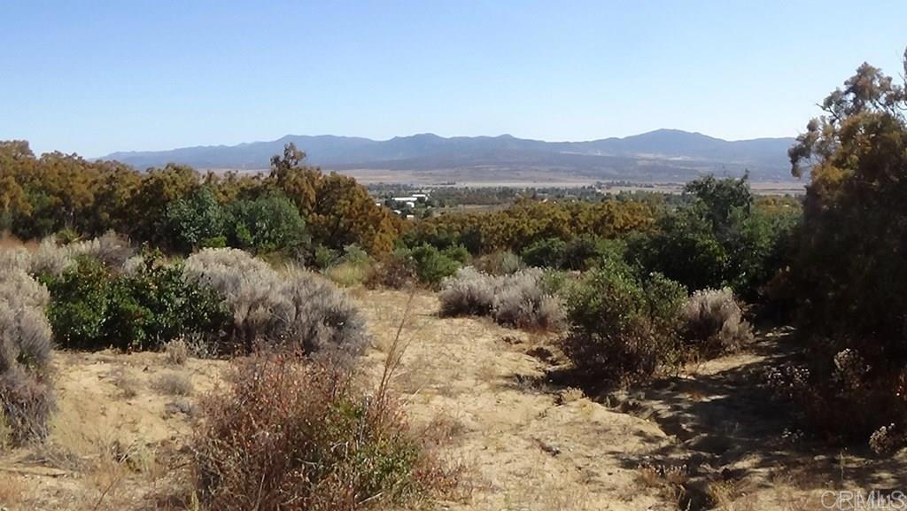 37245 Old Forest Road Property Photo 37