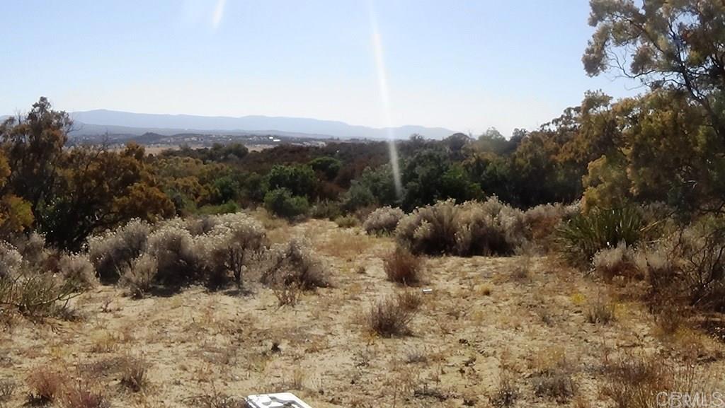 37245 Old Forest Road Property Photo 38