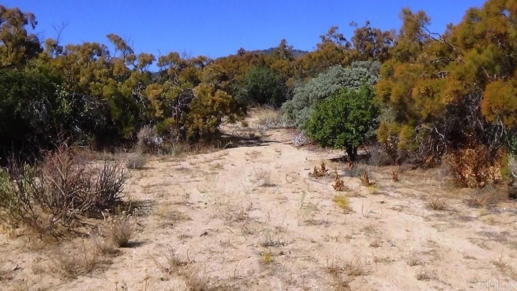 37245 Old Forest Road Property Photo 39