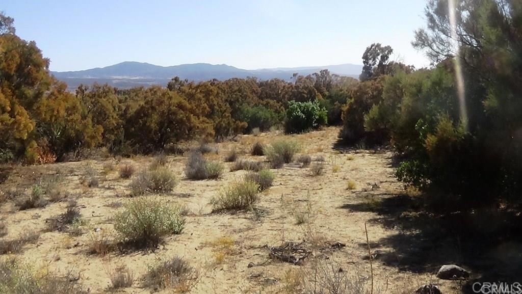 37245 Old Forest Road Property Photo 40