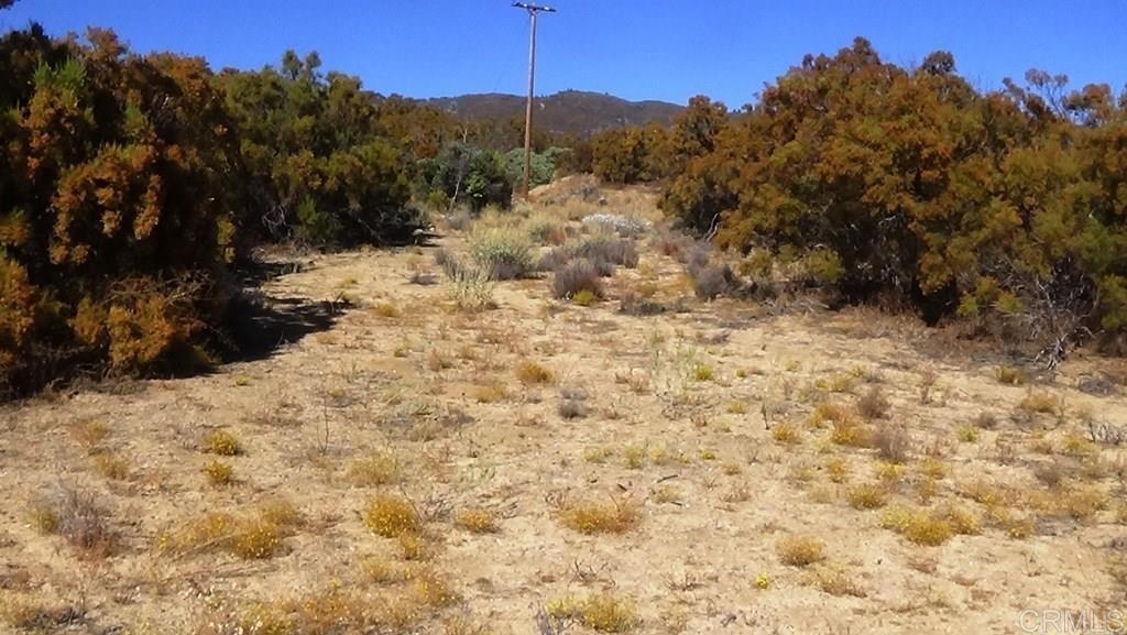 37245 Old Forest Road Property Photo 41