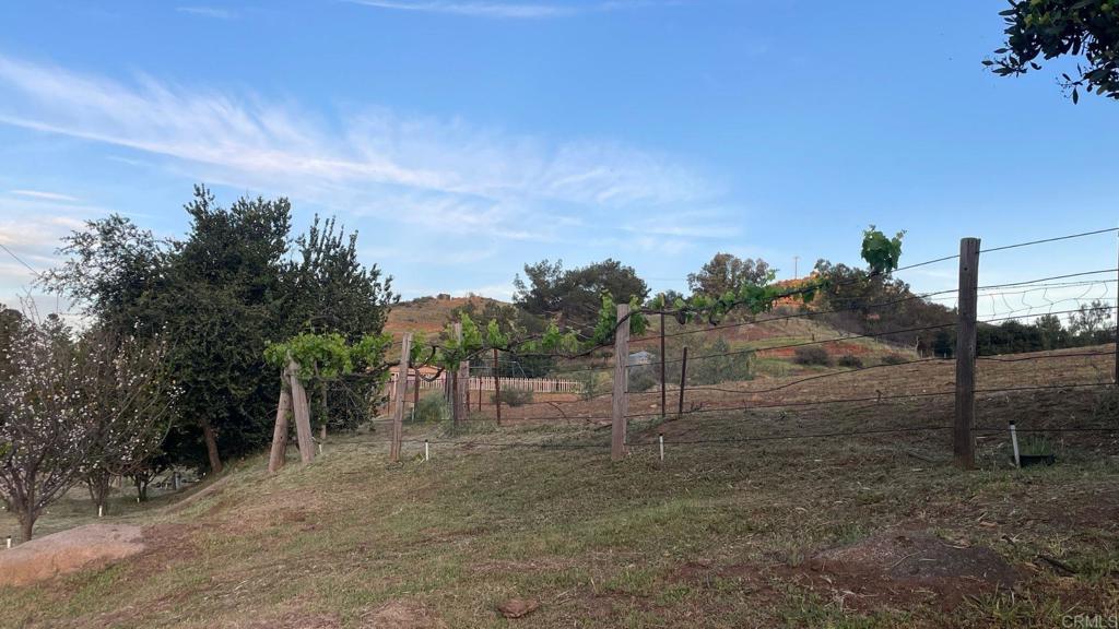 22002 Lyons Valley Road Property Photo 63