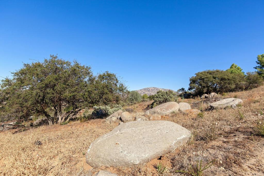0 Casa De Roca Way Property Photo 15