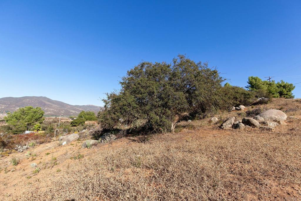 0 Casa De Roca Way Property Photo 16