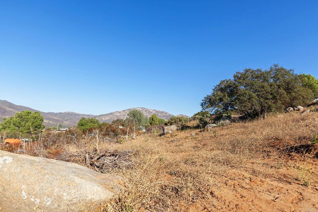 0 Casa De Roca Way Property Photo 18