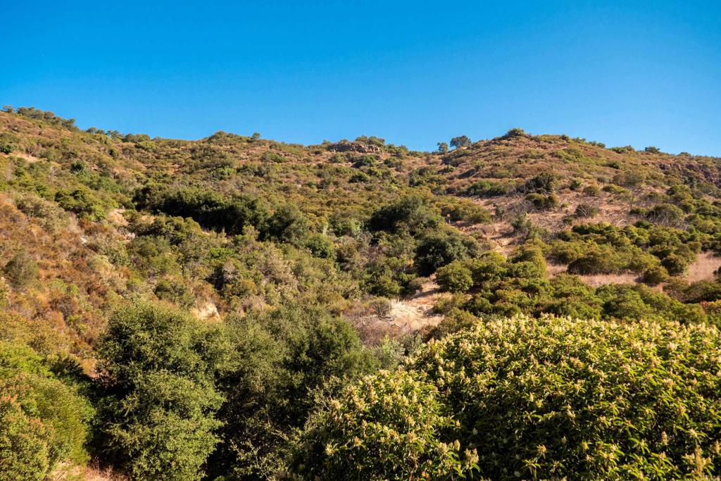 27 29 El Calamar Road Property Photo 15