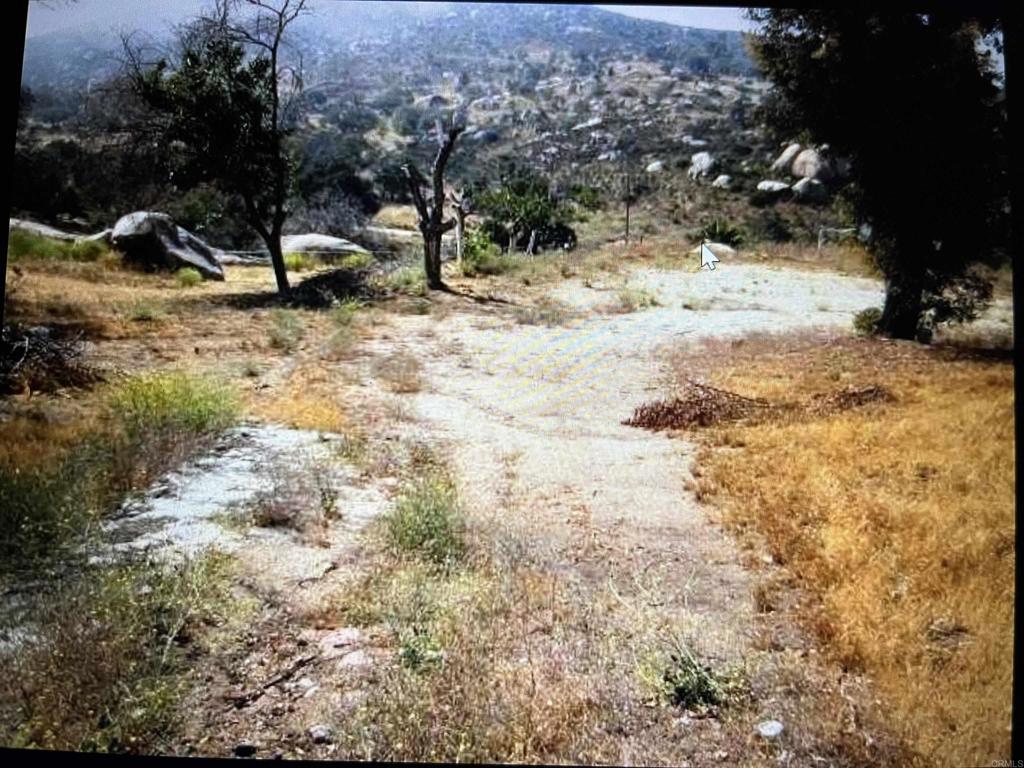 20670 Tumeric Way Property Photo 1