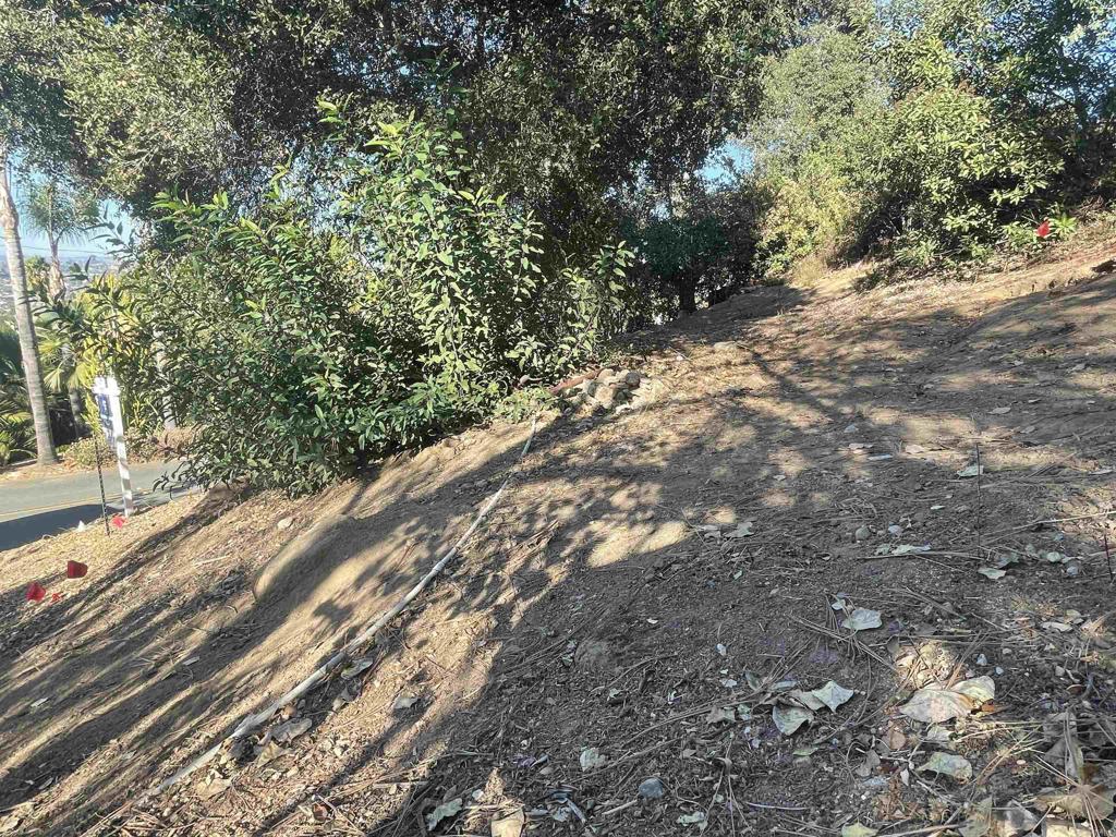 0 El Granito Avenue Property Photo 3