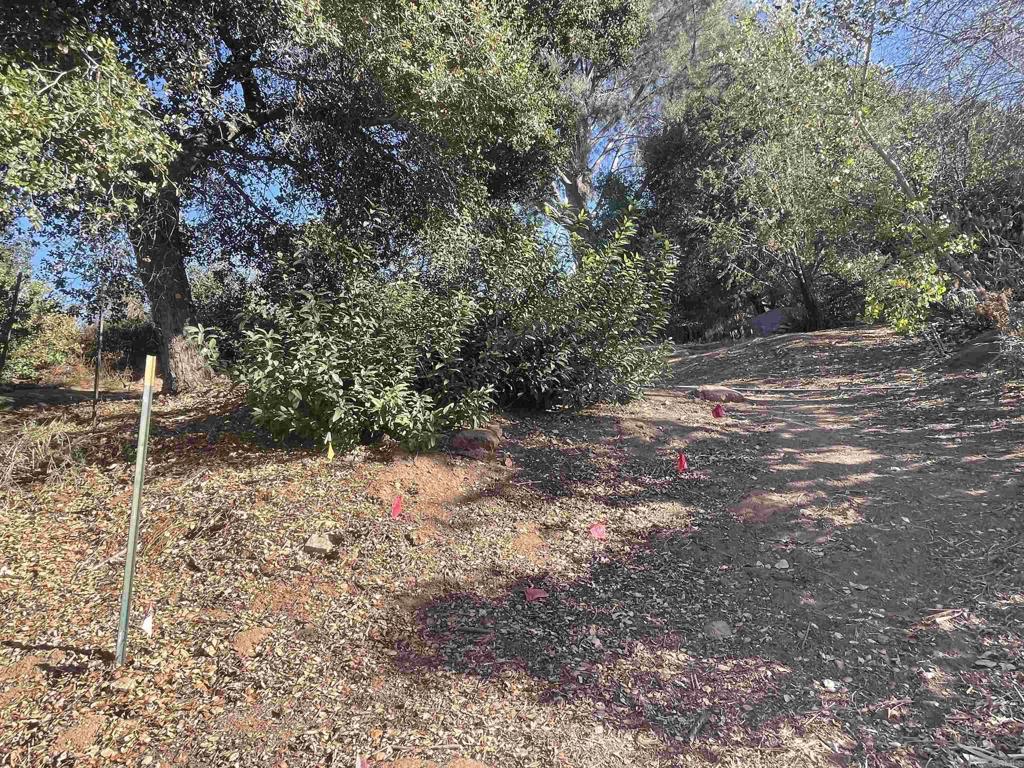 0 El Granito Avenue Property Photo 4