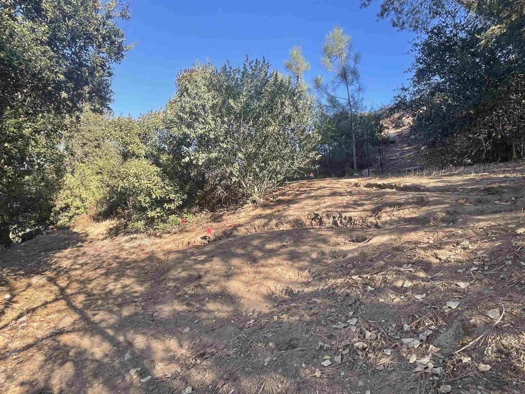 0 El Granito Avenue Property Photo 5