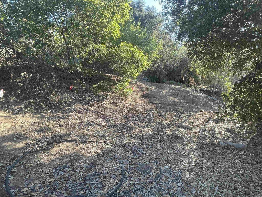 0 El Granito Avenue Property Photo 6