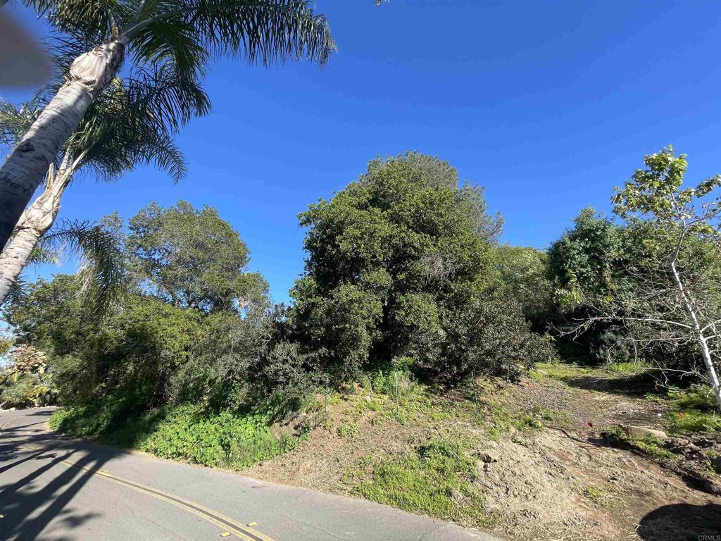 0 El Granito Avenue Property Photo 11
