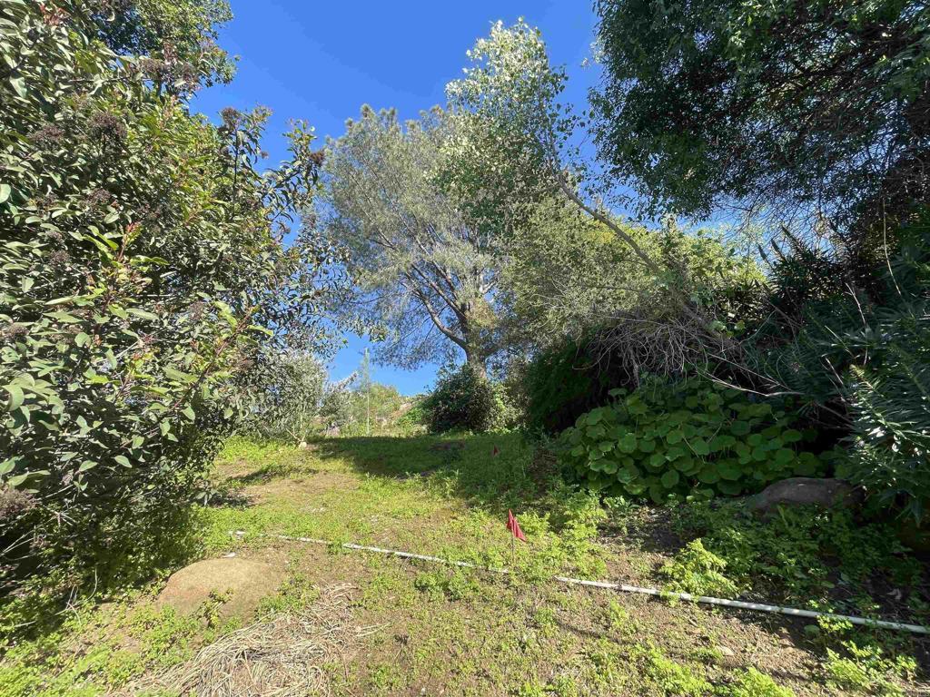 0 El Granito Avenue Property Photo 12