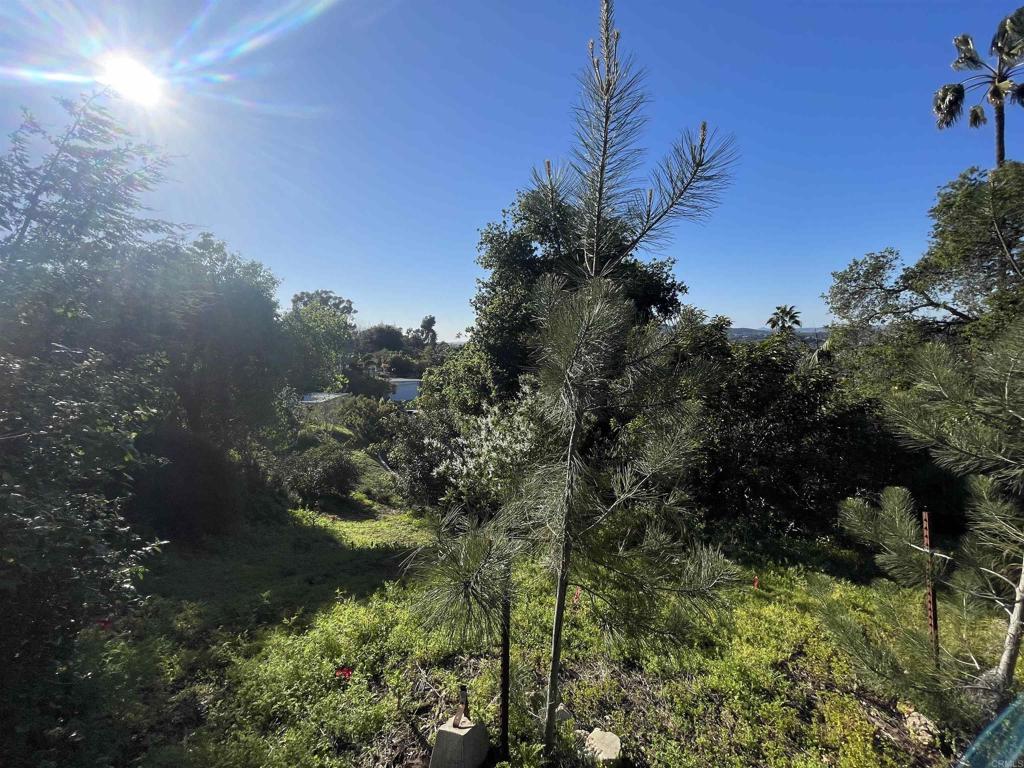 0 El Granito Avenue Property Photo 14