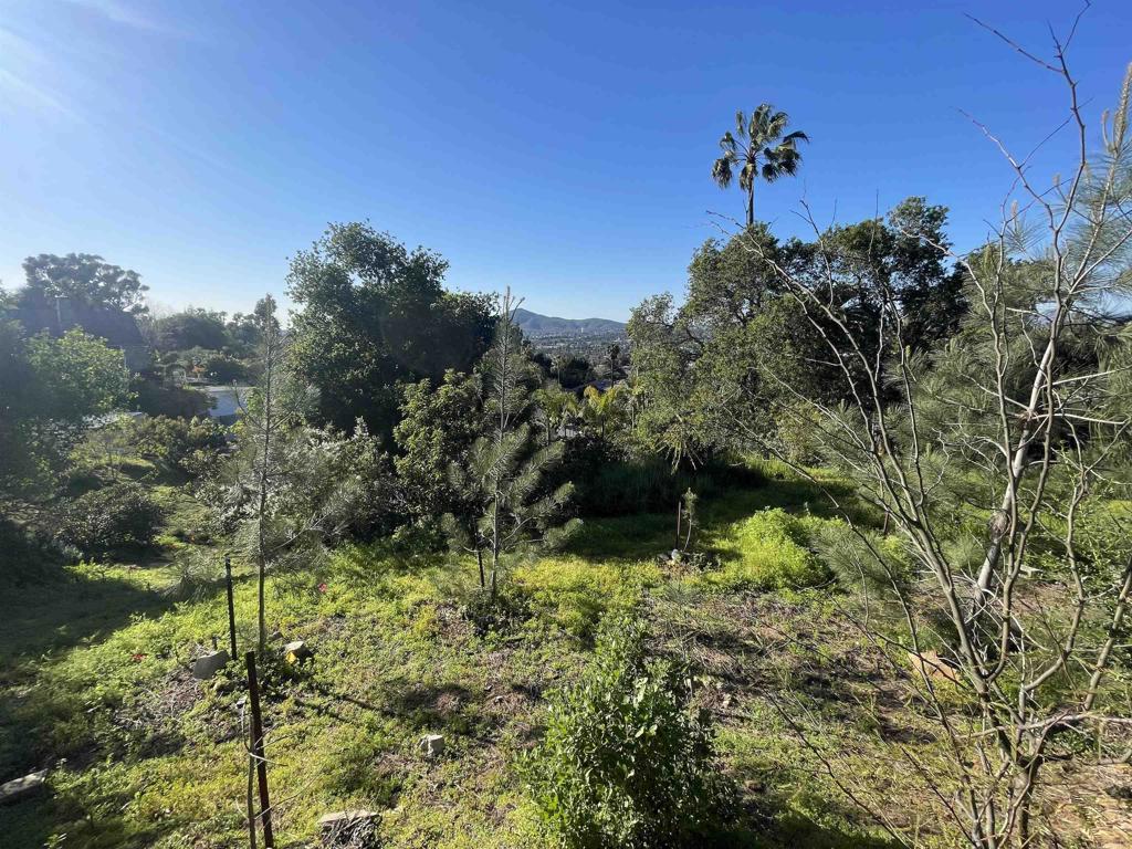 0 El Granito Avenue Property Photo 15