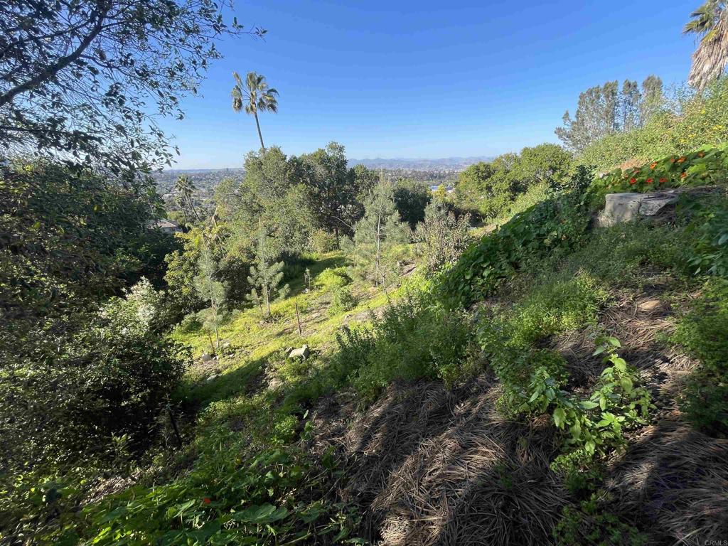 0 El Granito Avenue Property Photo 16