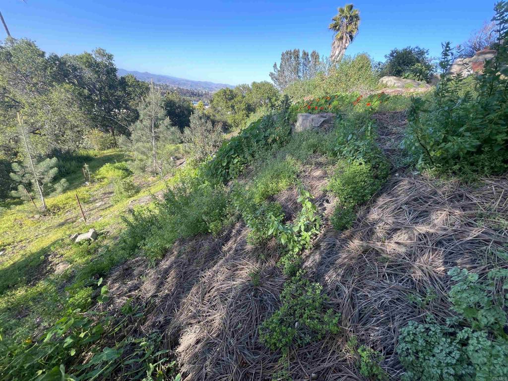0 El Granito Avenue Property Photo 17