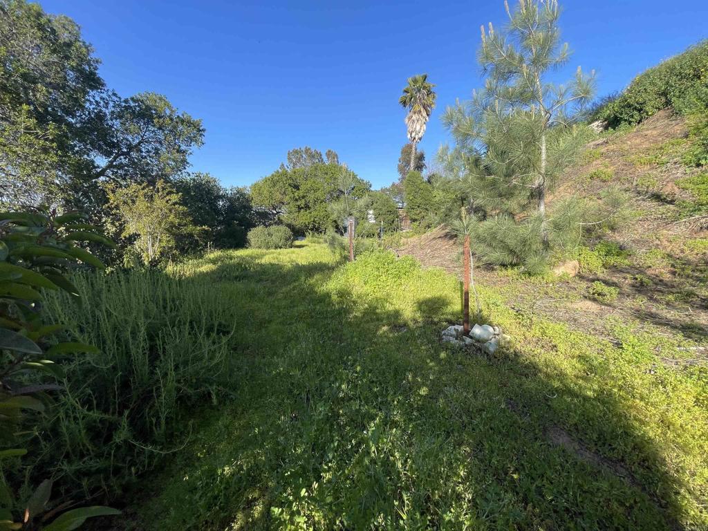 0 El Granito Avenue Property Photo 18