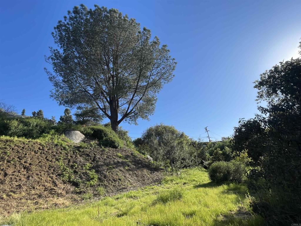 0 El Granito Avenue Property Photo 19