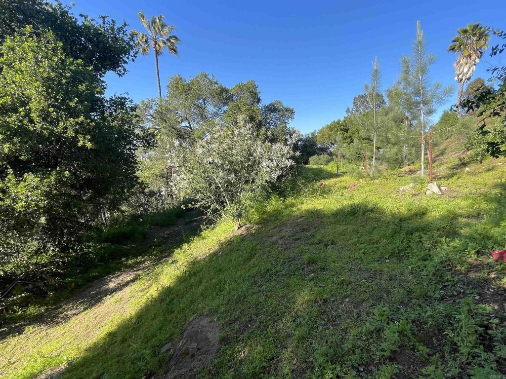 0 El Granito Avenue Property Photo 20