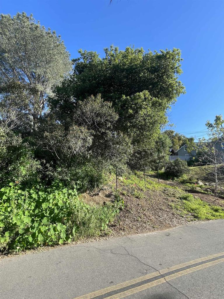 0 El Granito Avenue Property Photo 21