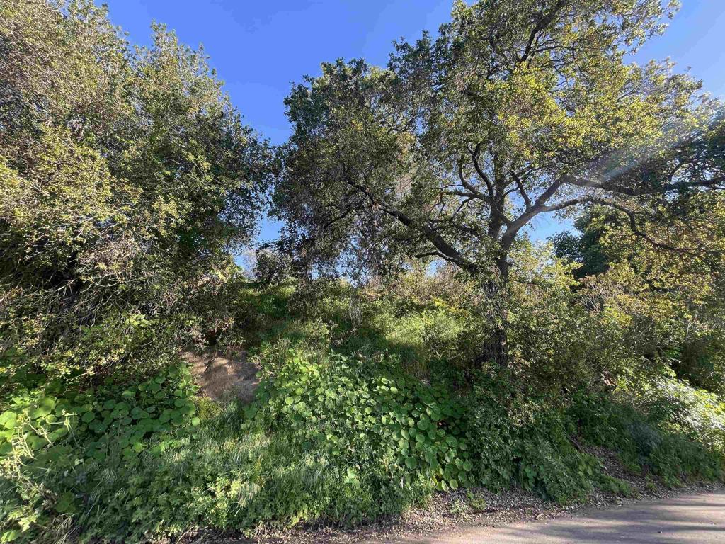 0 El Granito Avenue Property Photo 22