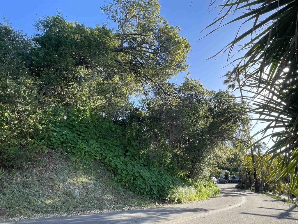 0 El Granito Avenue Property Photo 23