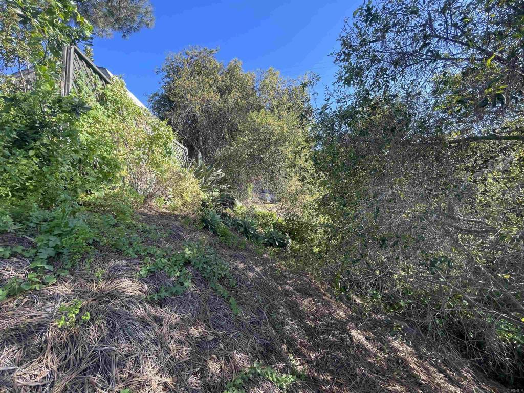 0 El Granito Avenue Property Photo 24