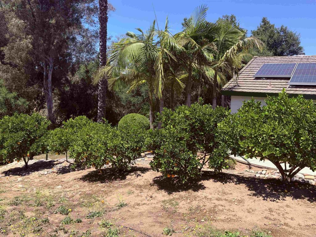 524 Rosvall Dr Drive Property Photo 19