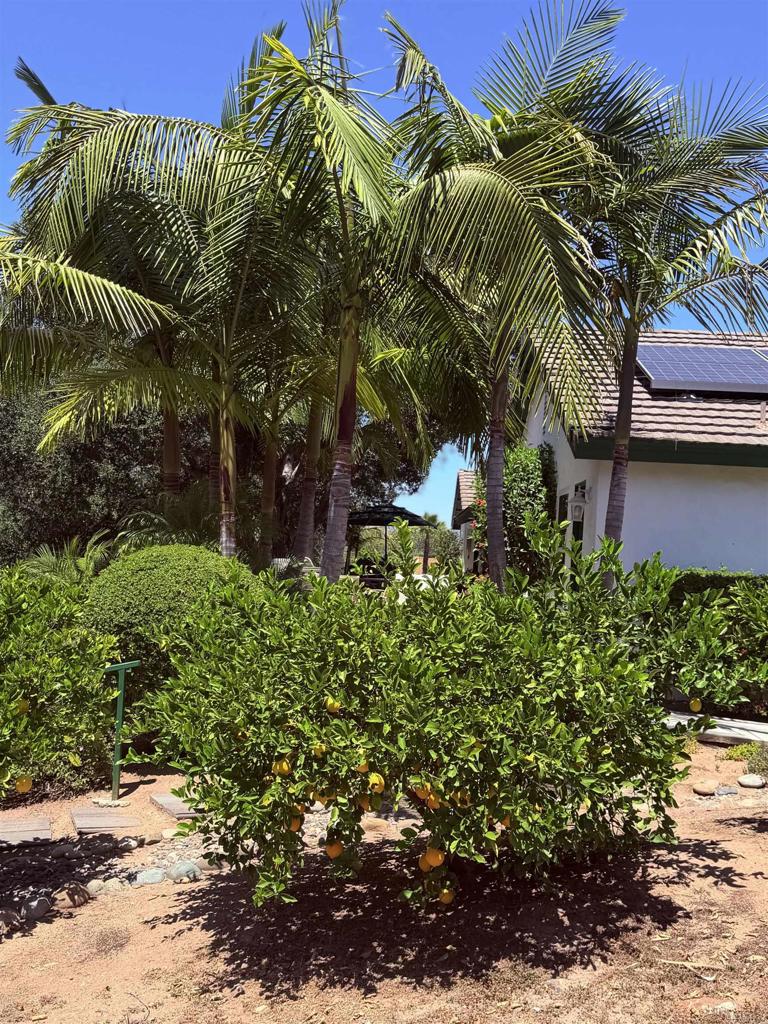524 Rosvall Dr Drive Property Photo 20