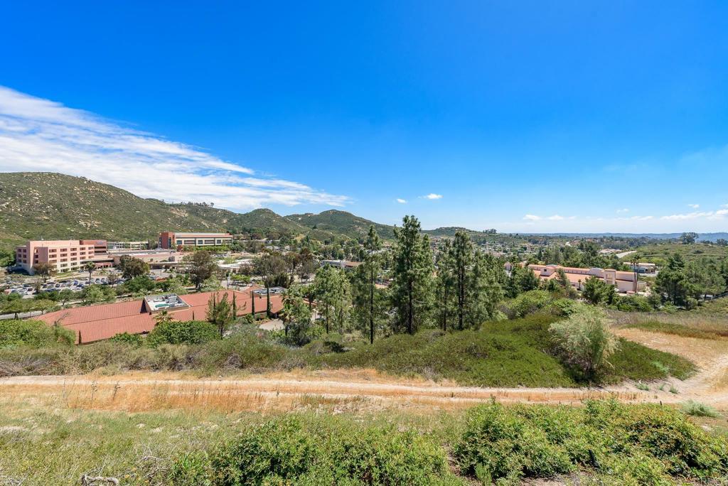 12631 Alcacer Del Sol Property Photo 52