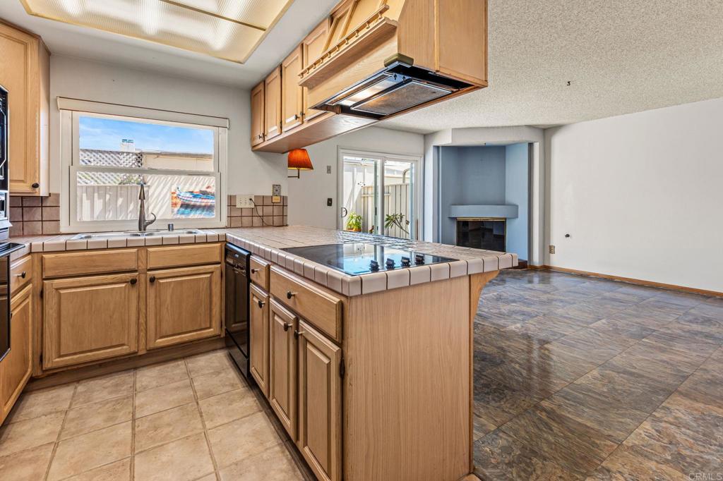 5225 Mount Alifan Drive Property Photo 14