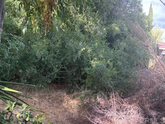 1225 Victor Property Photo 8