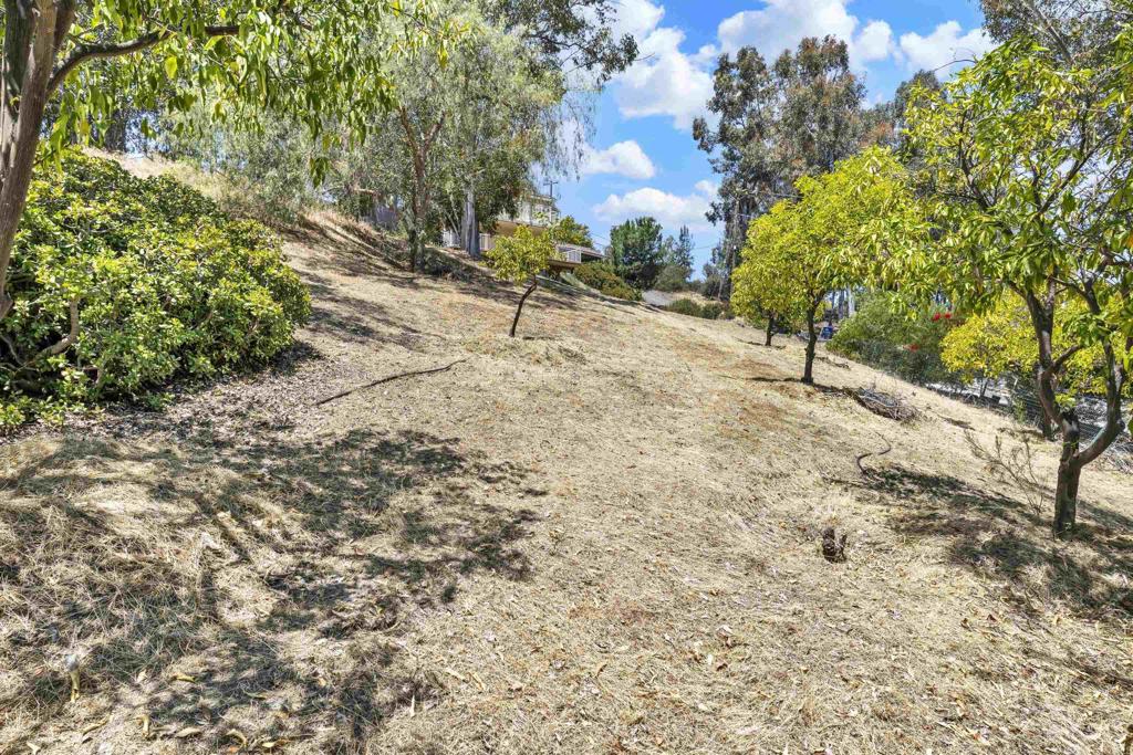 11941 Rocoso Road Property Photo 39