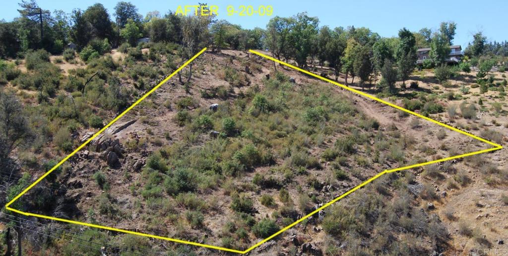 Azalea Property Photo 1