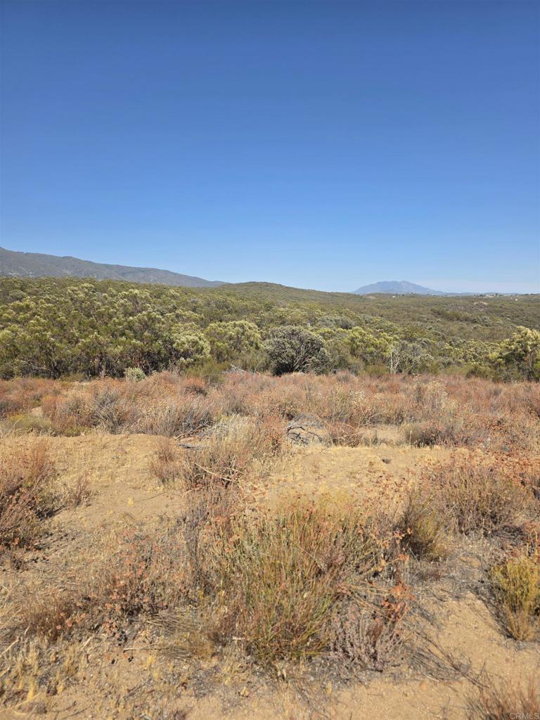 49 Brown Rocky Road Property Photo 4