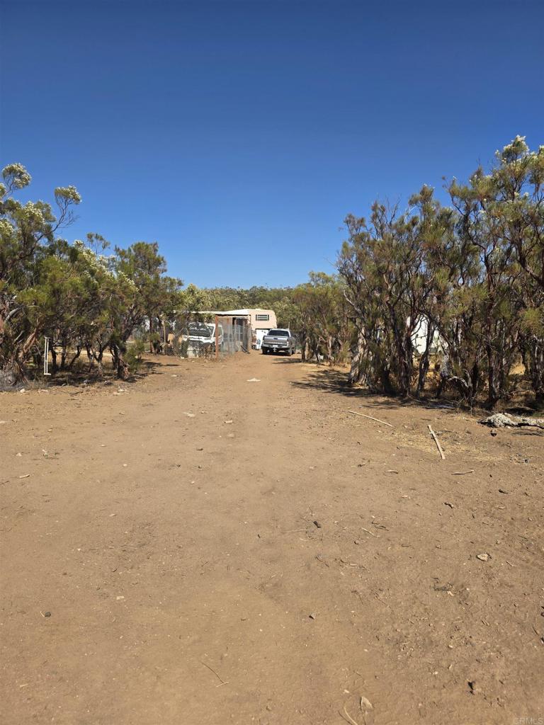 49 Brown Rocky Road Property Photo 5