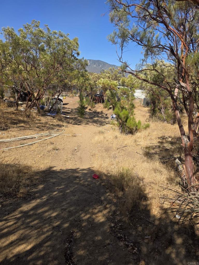 49 Brown Rocky Road Property Photo 8