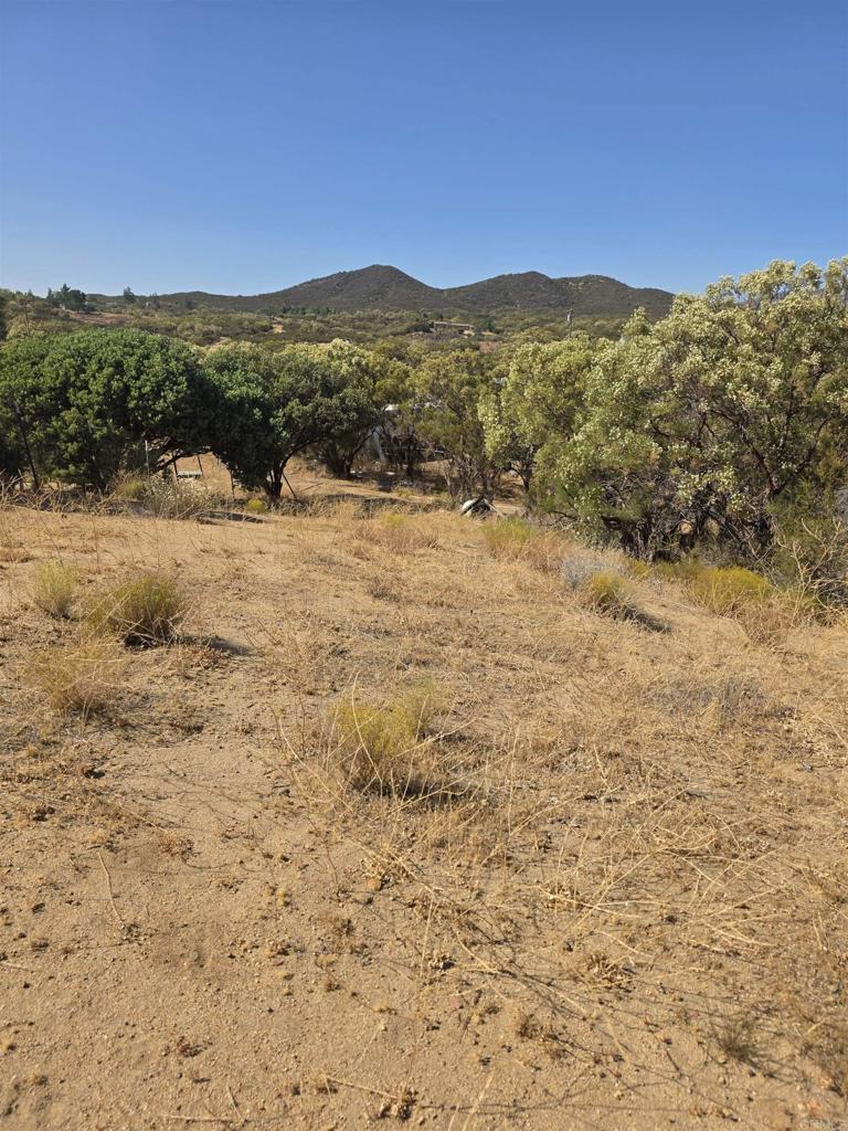 49 Brown Rocky Road Property Photo 9