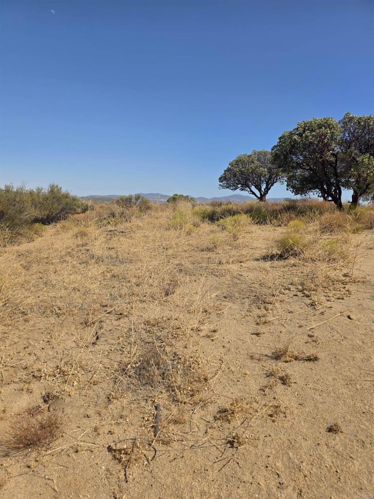 49 Brown Rocky Road Property Photo 10