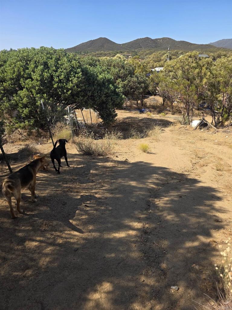 49 Brown Rocky Road Property Photo 11