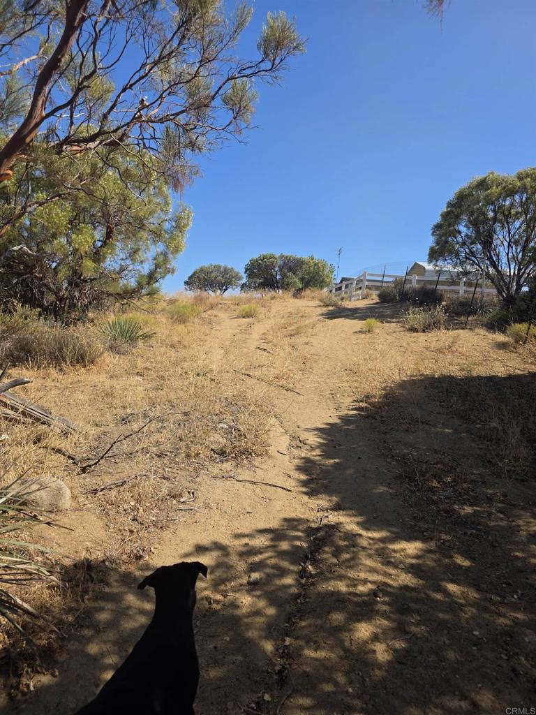 49 Brown Rocky Road Property Photo 12