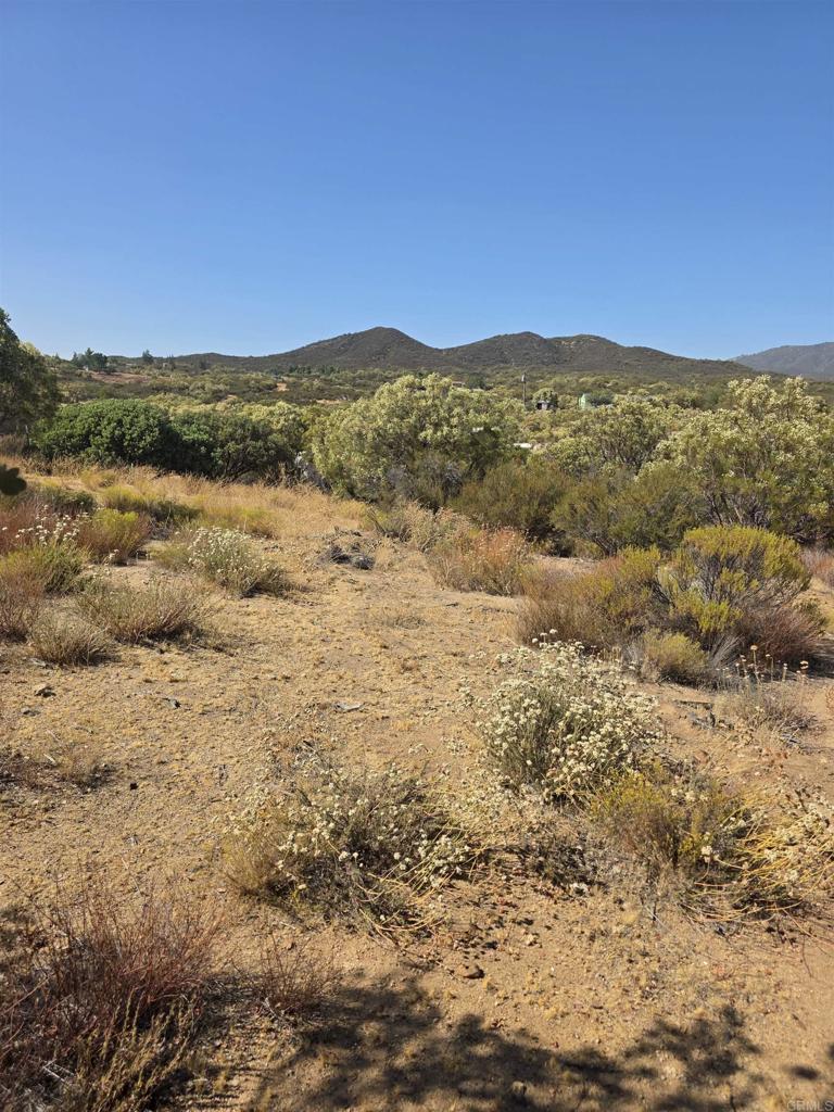 49 Brown Rocky Road Property Photo 14