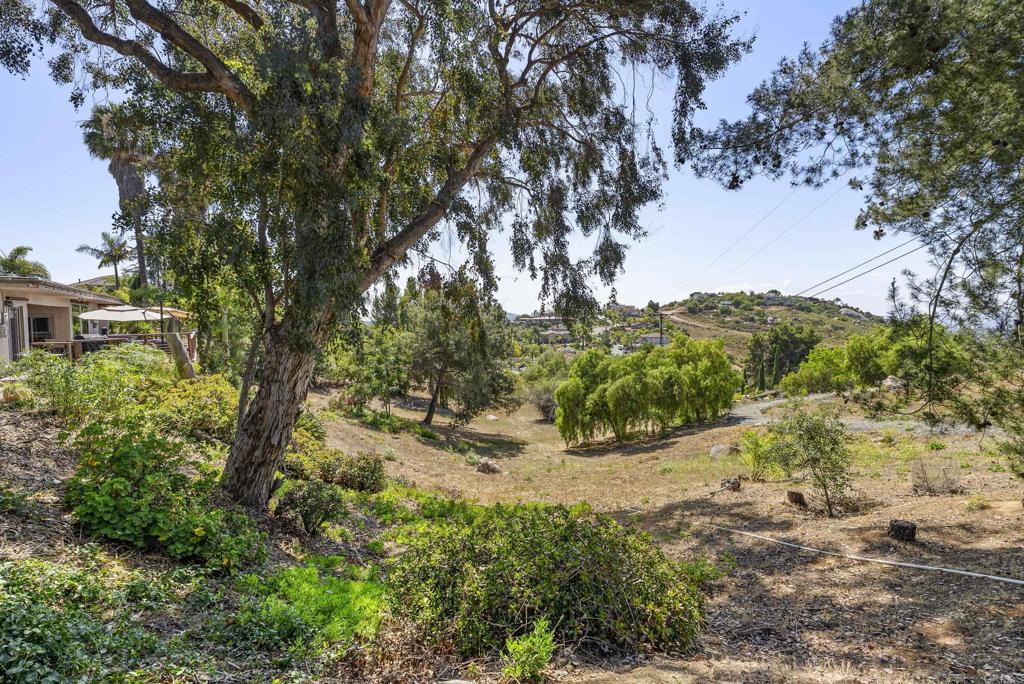 1215 Vista Grande Road Property Photo 60