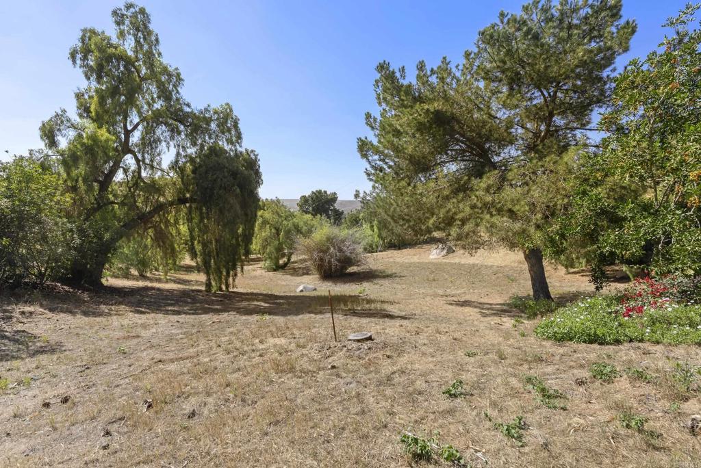1215 Vista Grande Road Property Photo 66