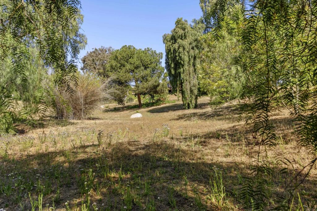 1215 Vista Grande Road Property Photo 71