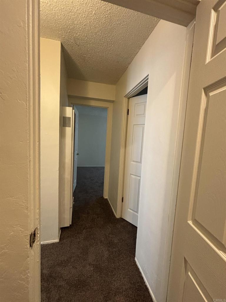 3545 Island Ave Property Photo 5