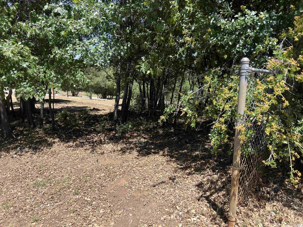 Harrison Park Road Property Photo 5